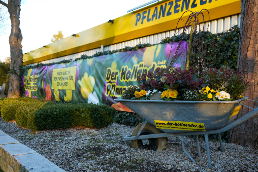 Die grüne Stadt-Oase © Der Holländer Pflanzencenter Die grüne Stadt-Oase © Der Holländer Pflanzencenter